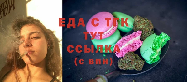 гидра Богданович