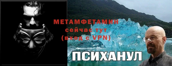 крисы Богородск