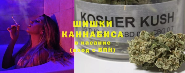 гидра Богданович
