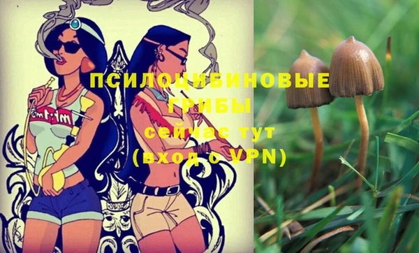 метадон Богородицк
