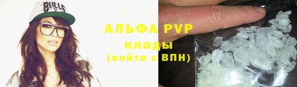 гидра Богданович