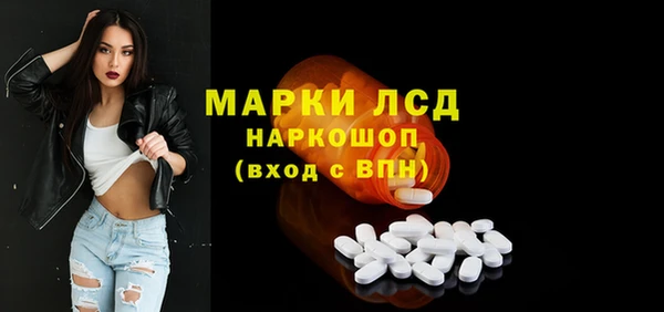 гидра Богданович
