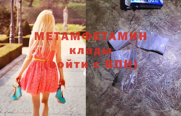 гидра Богданович