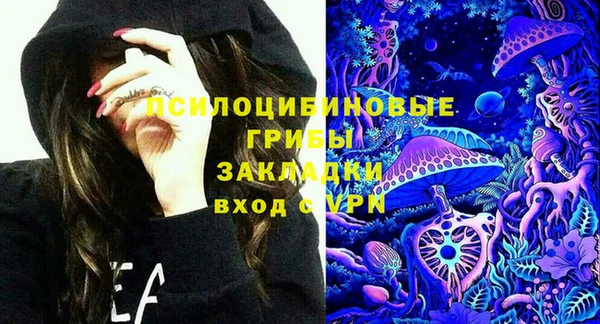 крисы Богородск