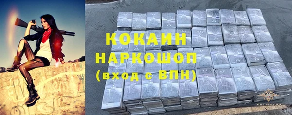 крисы Богородск