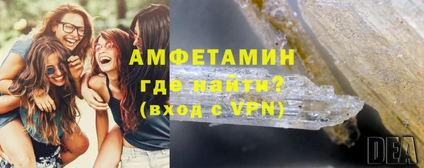 гидра Богданович