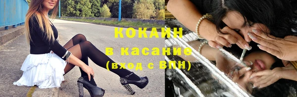 гидра Богданович