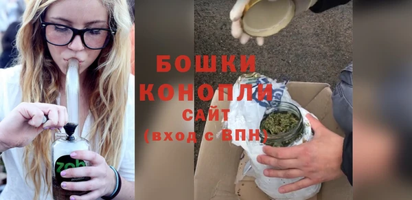 гидра Богданович