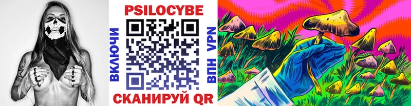 ссылка на мегу сайт  цена   Ессентукская  Галлюциногенные грибы прущие грибы 